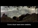 o caminho do sucesso