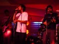 Ver Video