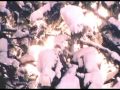 ny-batteri-aeryals.html