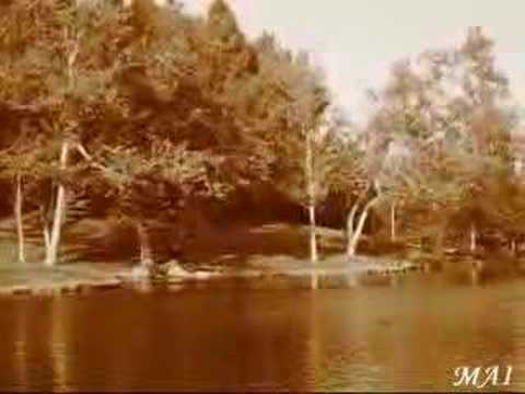 Elsa - Quelque Chose Dans Mon Coeur