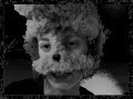 Wolf Lessons Part I: Seducing Wolf Lessons Part I: Seducing
