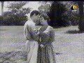 Alhareba 3 song