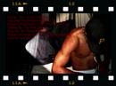 The Shankadelics \"Greatness in the Making\" The Shankadelics \"Greatness in the Making\"