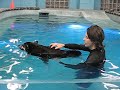 Gypsy at Hydrotherapy