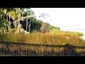 Canon SX130 IS HD test movie.mov