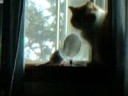 Roger and Peanut