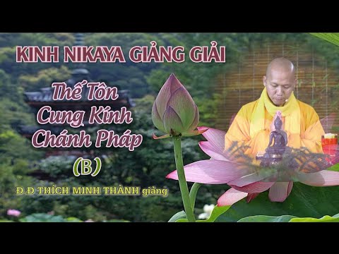 Kinh NIKAYA Giảng Giải - Thế Tôn Cung Kính Chánh Pháp B