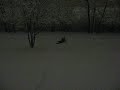 damyan ride snowboard
