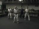 Zen Shorin Do in 2001 Sanchin and applications.  Part 1 of 4