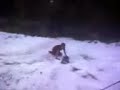 yakas en la nieve yakas en la nieve