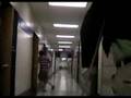 SLUH STUCO Old School Trailer