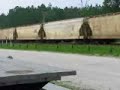 CSX @ Folkston 7/22/08 8:11 AM