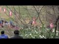 videos de Rally Japan 2008 SS4 Part.5