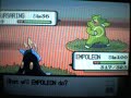 Shiny Ursaring With Poke Radar Shiny Ursaring With Poke Radar