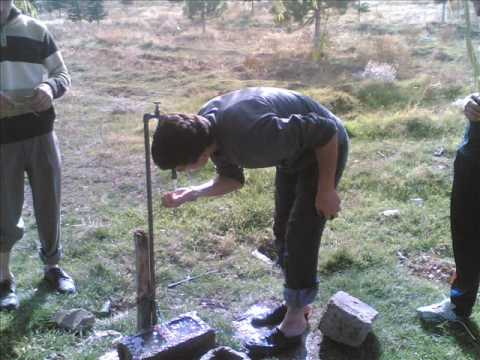 ılgın