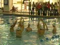 PIKE SWIM!.MOV PIKE SWIM!.MOV