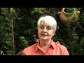 Reverse Mortgages Australia