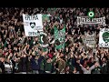 PAO THRYSKEIA THYRA 13 DEKATRIA ATHINA FANS ATHENS GREECE GREEK HELLAS PANATHA MESOGEIA GREEN HOOLS HOOLIGANS