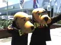 CACHORR�O EMIVE