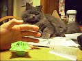 Munetaka kikou video de TK(con distraccion)