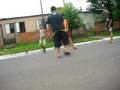 videos de Muito swon esta tarde.