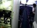 boeing 737 invaded by pigeons