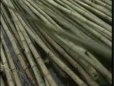 Indonesia Travel Doc Part 09