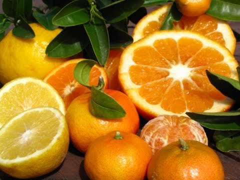 how to grow lemons in nz