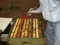 I uploaded a YouTube video -- Part 2, Adding 2nd Hive Body http://youtu.be/lp0UScTTuS8?a