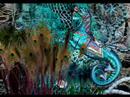 Velveteen Dreams ~ By Emi Velveteen Dreams ~ By Emi