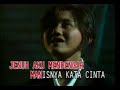 Bintang Kehidupan