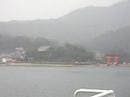 Koala @ Chugoku -- Ferry to Miyajima Koala @ Chugoku -- Ferry to Miyajima