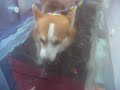hurleys-hydrotherapy.html