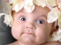nossos anjos...lindos beb�s embalados pela m�sica de george fenton