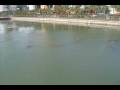 APOLLO BEACH MANATEE VIEWING CENTER