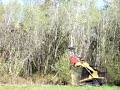 Eco-Logic Land Clearing: Jeremy Scott