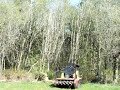 Eco-Logic Land Clearing: Jeremy Scott