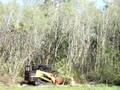Eco-Logic Land Clearing: Jeremy Scott