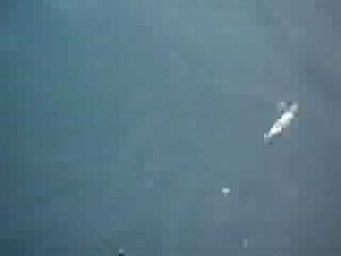 Captain Steve's Saltwater Charters & ...