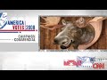 CNN - The talking moose CNN - The talking moose