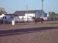 videos de Barrel racing montage 4