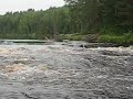 going through sarikoski