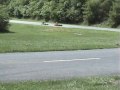 2007 WKC Summit Point Piston Port Can Heavy Race