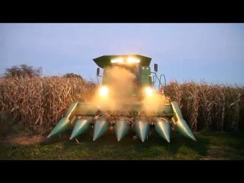 how to harvest field corn