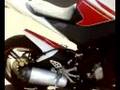 YZF R125 - Garde boue peint et bout de pot coupé