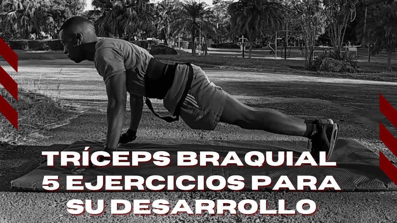 Tríceps braquial: 5 ejercicios para su desarrollo
