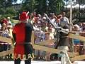 Ryn 2008 bojówka