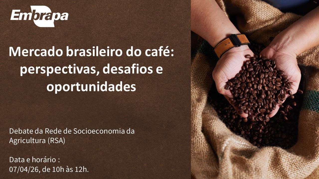 Mercado brasileiro do café: perspectivas, desafios e oportunidades