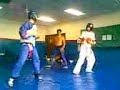 unet hapkido telo vs chipi unet hapkido telo vs chipi