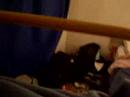 Alsace, 1ere soir�e dans la chambre.